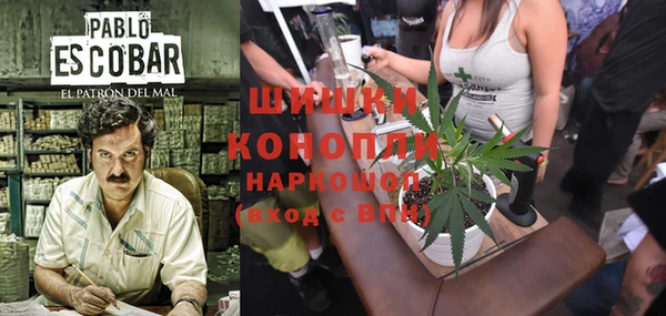 шишки Алексеевка
