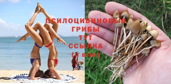 COCAINE Алзамай