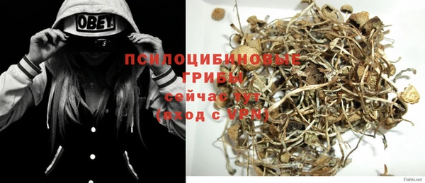 шишки Алексеевка